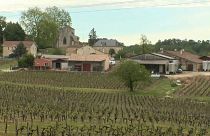 Vinyards in France's Bordeaux region hit by hail storm