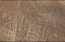 Giant drawings found near Nazca Lines in Peru desert
