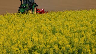 France ‘committed’ to glyphosate herbicide ban despite parliamentary rebuff