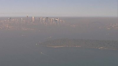 Sydney disappears in smoke