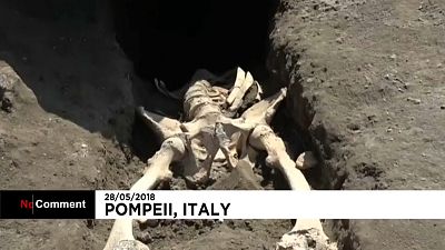 Une nouvelle victime du Vésuve découverte à Pompéi