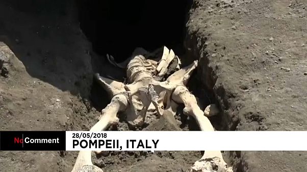 Une nouvelle victime du Vésuve découverte à Pompéi Une nouvelle victime du Vésuve découverte à Pompéi