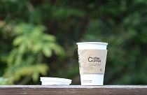 Scotland bans single-use coffee cups in government buildings
