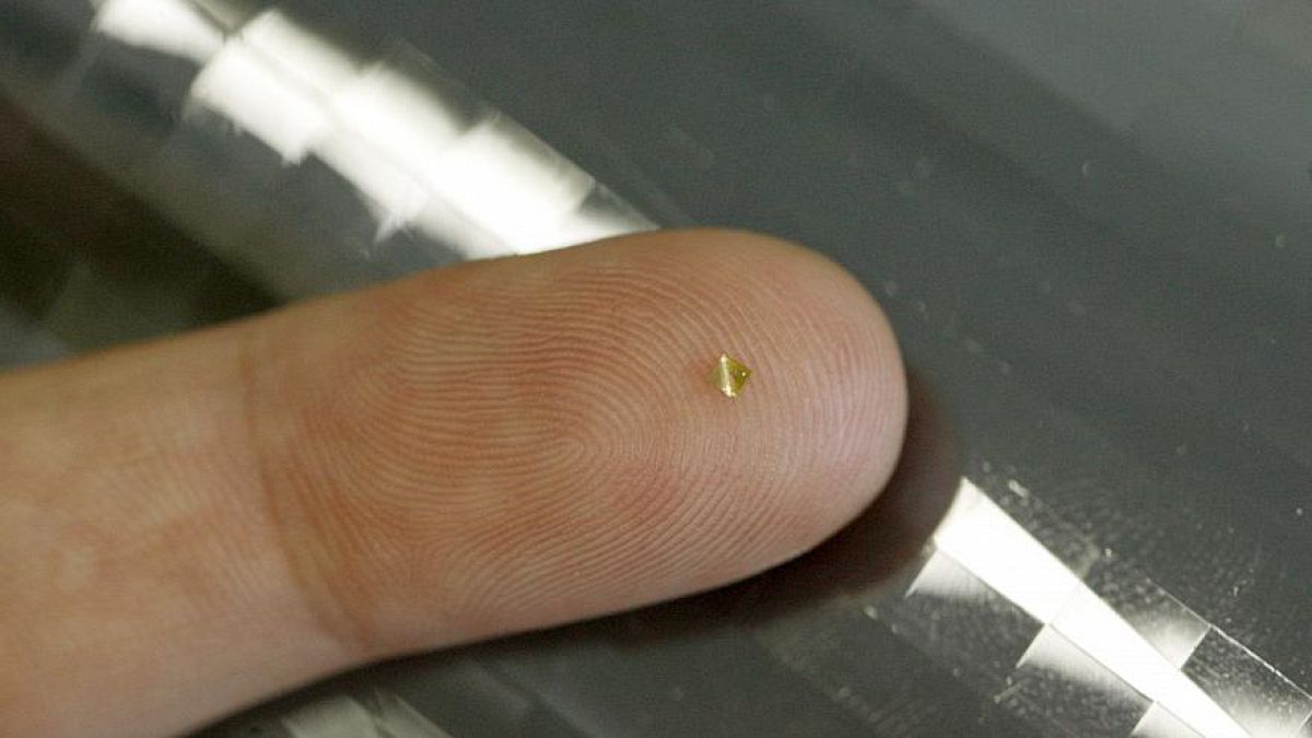 So winzig kann er sein, der Mikrochip