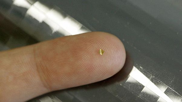 So winzig kann er sein, der Mikrochip So winzig kann er sein, der Mikrochip