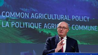 Phil Hogan Commissaire européen à l'Agriculture