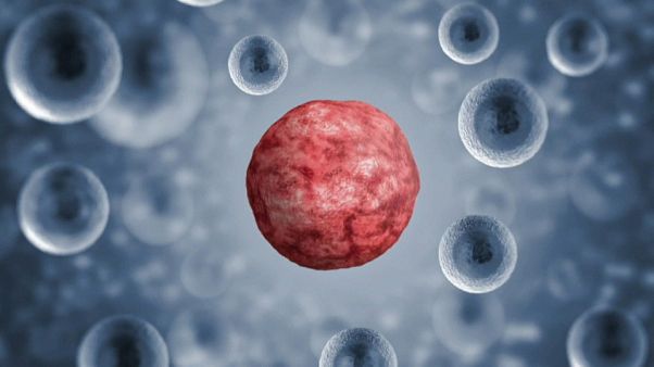 Cancro, scovato il Sacro Graal della ricerca Cancro, scovato il Sacro Graal della ricerca