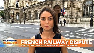 France: Railway workers strike continues as government prepares to vote on reforms