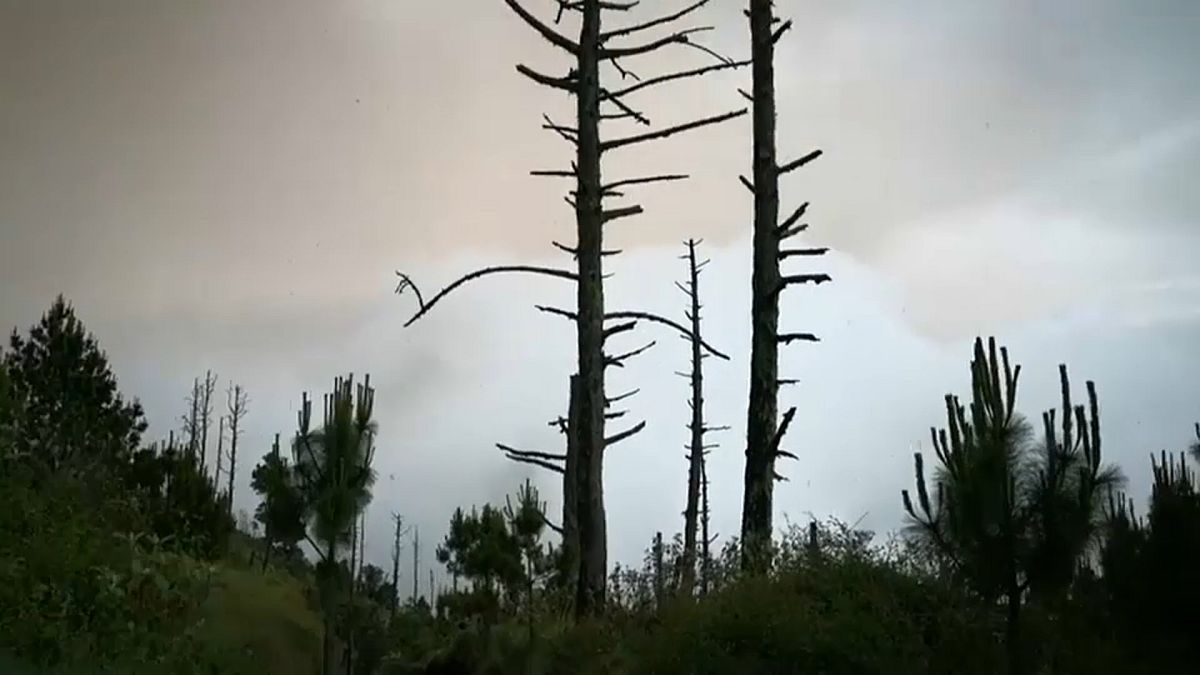 Vulkanausbruch in Guatemala: Retter müssen Einsatz abbrechen