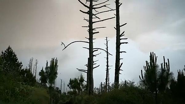 Vulkanausbruch in Guatemala: Retter müssen Einsatz abbrechen Vulkanausbruch in Guatemala: Retter müssen Einsatz abbrechen