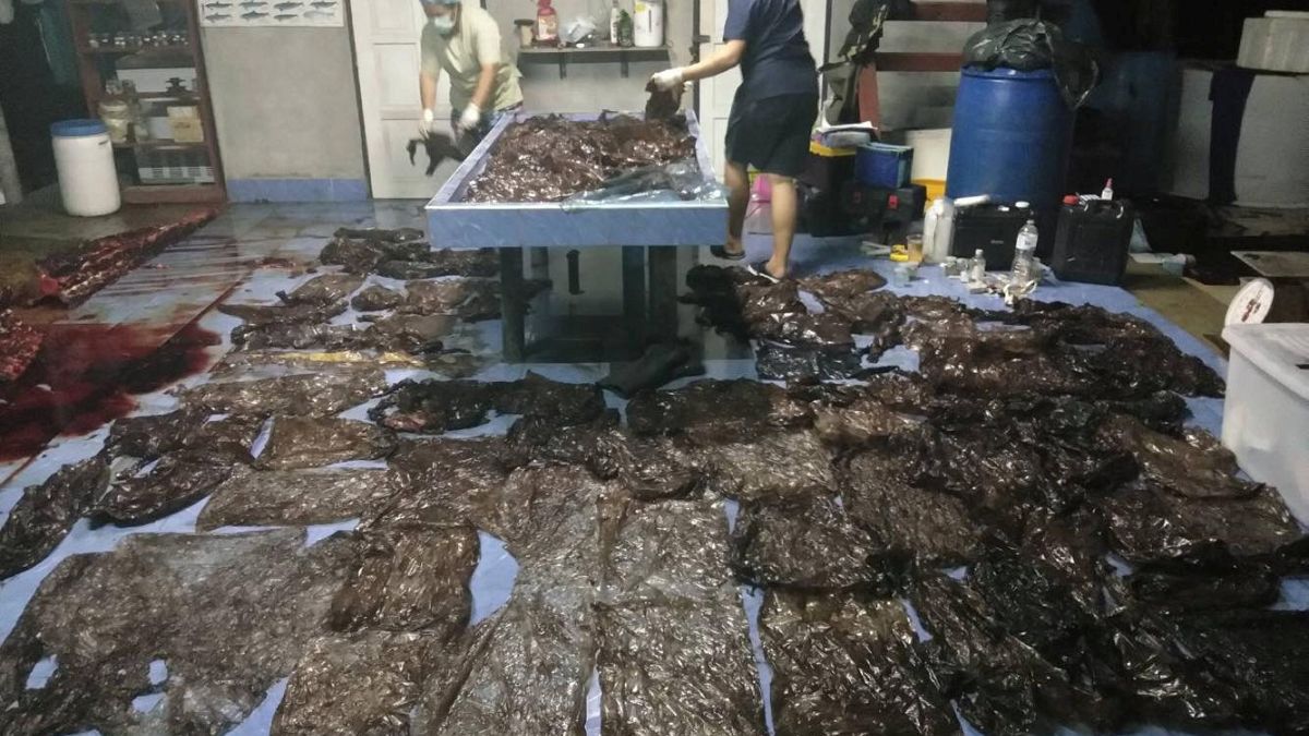 Évi 300 tengeri állatot "öl meg" a műanyag a thaiföldi vizekben