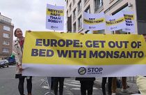 Bayer compra Monsanto y borra su nombre