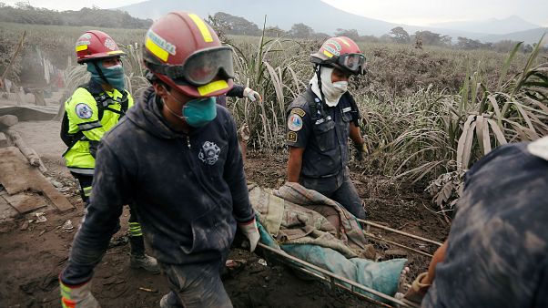 Muerte y desolación en Guatemala por el Volcán de Fuego Muerte y desolación en Guatemala por el Volcán de Fuego