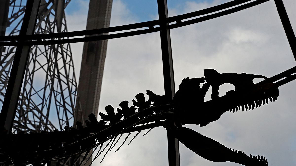 Das Dino-Skelett wurde im Eiffelturm versteigert.