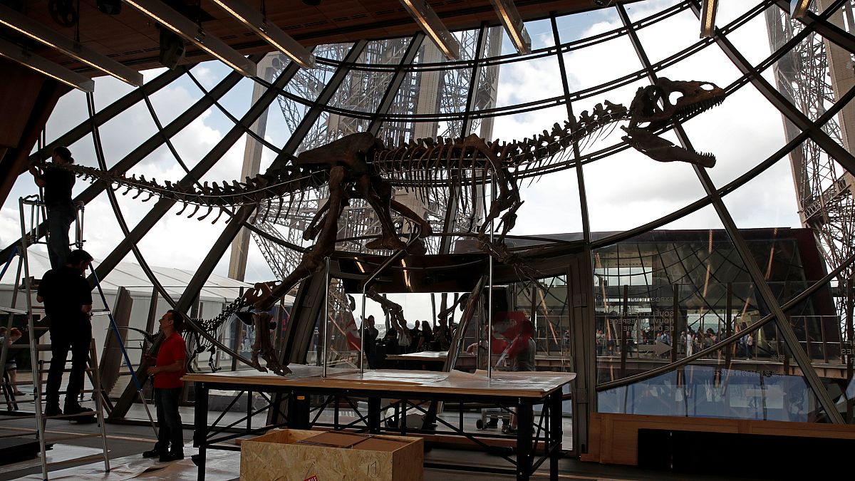 2 млн евро за скелет динозавра