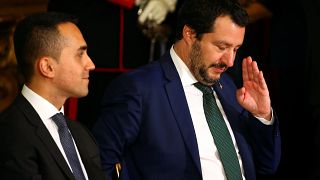 Salvini gesturing