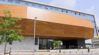В Тель-Авиве открывается музей естествознания