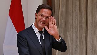 Watch: Dutch PM Rutte applauded after clearing up own coffee spill