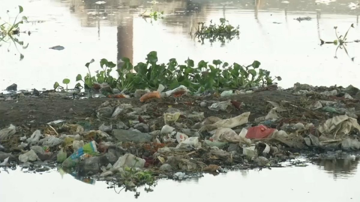 Índia assinala Dia Mundial do Meio Ambiente com combate ao plástico