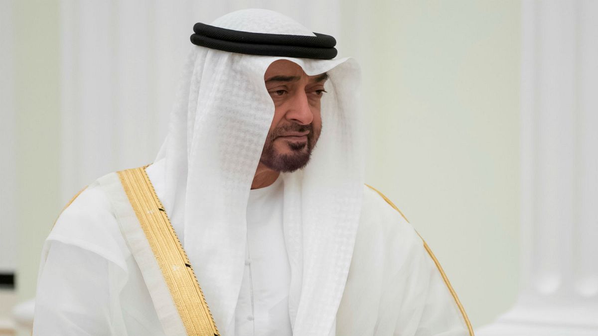 محمد بن زايد يصف التحالف الإماراتي السعودي بالاستراتيجي