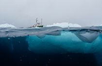 Das Forschungsboot von Greenpeace in der antarktischen Hope Bay.