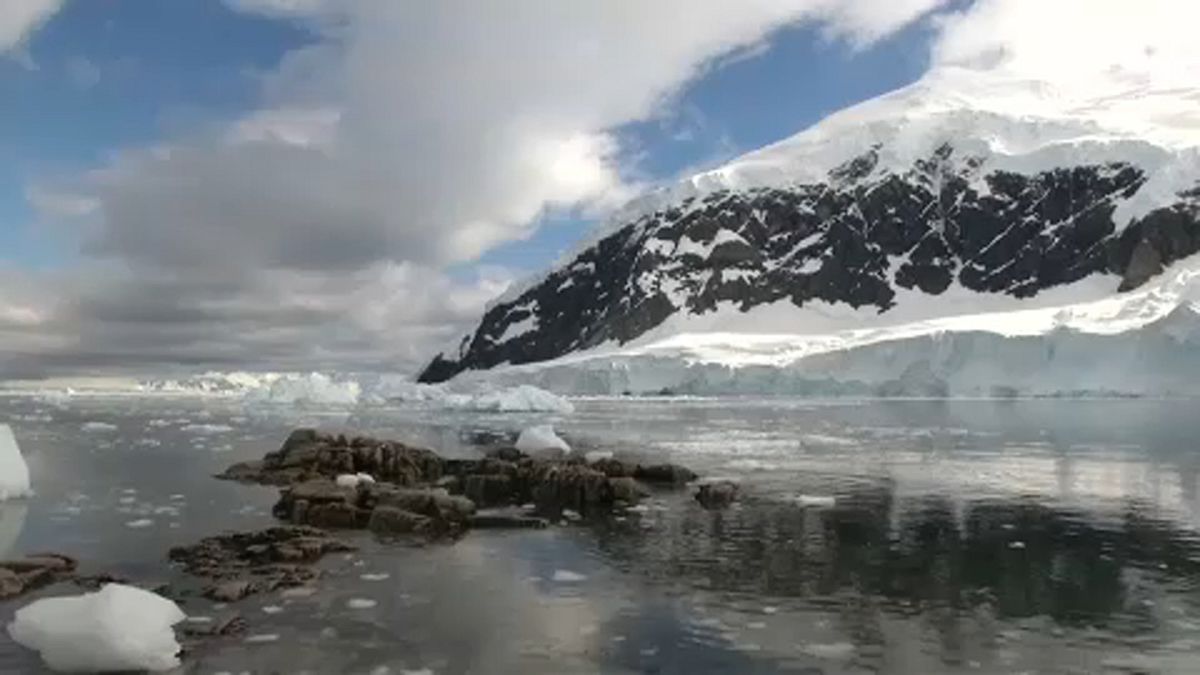 Műanyag pusztít már az Antarktiszon is