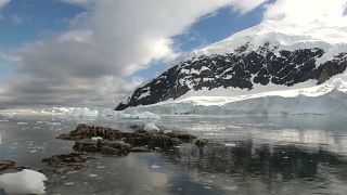 التلوث يهدد البيئة في القطب الجنوبي