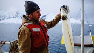 SOS: Εντοπίστηκαν μικροπλαστικά στην Ανταρκτική