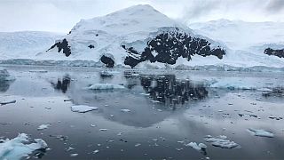 Poluição no Antártico preocupa Greenpeace