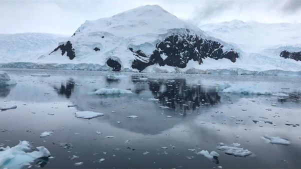 Poluição no Antártico preocupa Greenpeace Poluição no Antártico preocupa Greenpeace