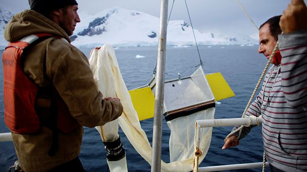 Greenpeace activists Grant Oakes and Marcelo Legname pull a manta trawl out Greenpeace activists Grant Oakes and Marcelo Legname pull a manta trawl out