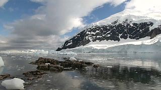 Greenpeace'den Antarktika için önemli uyarı