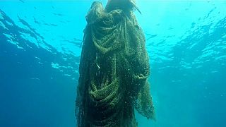 "Redes de pesca fantasmas": Armadilhas fatais nos Oceanos