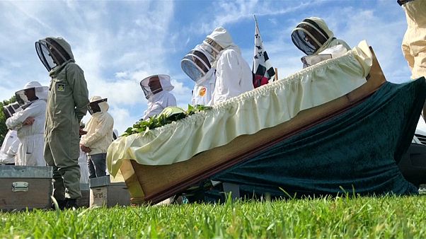 Во Франции прошли символические похороны пчеловодства Во Франции прошли символические похороны пчеловодства
