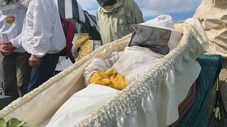 Beekeepers stage funeral for France's dying bee population