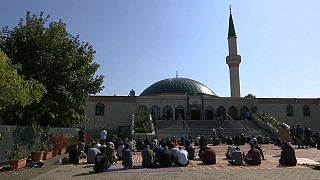 Austria to close seven mosques and expel dozens of imams
