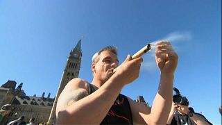Senado do Canadá aprova legalização do consumo de canábis 
