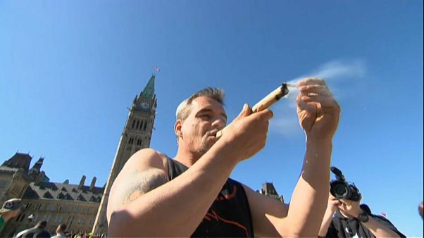 Senado do Canadá aprova legalização do consumo de canábis Senado do Canadá aprova legalização do consumo de canábis