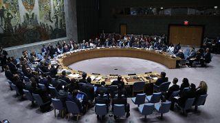 BM Güvenlik Kurulu'nun yeni geçici üyeleri kimler oldu?