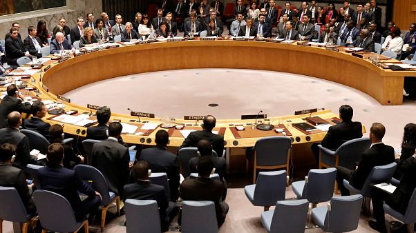 Alemania, Bélgica, Sudáfrica, República Dominicana e Indonesia son elegidos miembros no permanentes del Consejo de Seguridad de la ONU Alemania, Bélgica, Sudáfrica, República Dominicana e Indonesia son elegidos miembros no permanentes del Consejo de Seguridad de la ONU