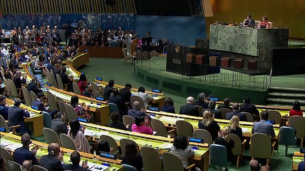 Cinco novos países no Conselho de Segurança da ONU Cinco novos países no Conselho de Segurança da ONU