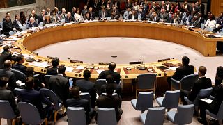 Conseil de sécurité : cinq nouveaux pays membres