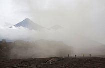 Поиски жертв «Фуэго»