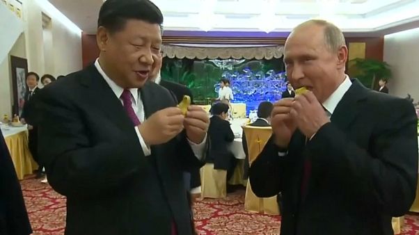 Putin testet chinesische Baozi-Klöße Putin testet chinesische Baozi-Klöße