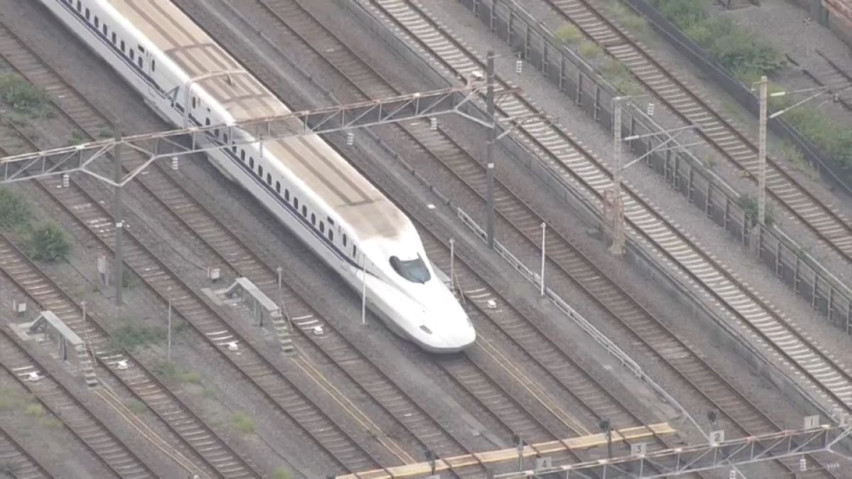 Japan: 22-Jähriger geht mit Messer auf Passagiere im Zug los