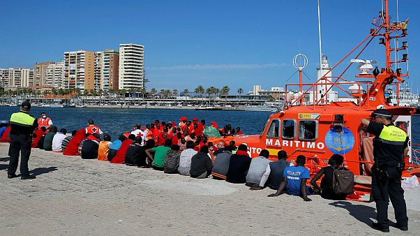 Migrants Migrants