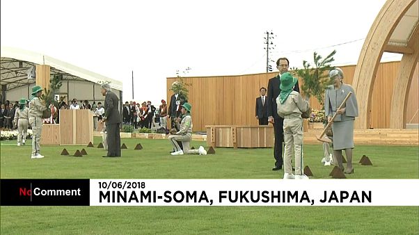 Fukushima : des arbres en signe de renouveau Fukushima : des arbres en signe de renouveau