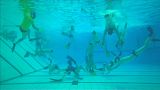 Underwater hockey 'Octopush' thrives in Britain