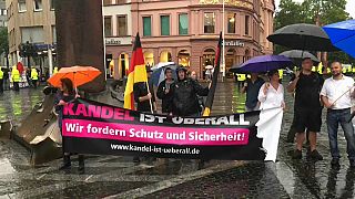 "Chiudiamo le frontiere tedesche!": destra populista in piazza