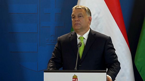 Orban lobt Italiens Regierung Orban lobt Italiens Regierung